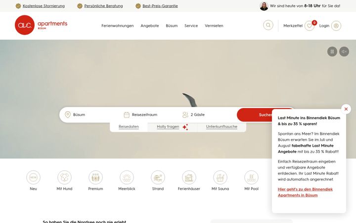 Screenshot of avc-buesum.de