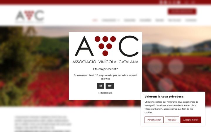 Screenshot of avc.cat