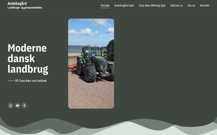 Screenshot of avdebogaard.dk
