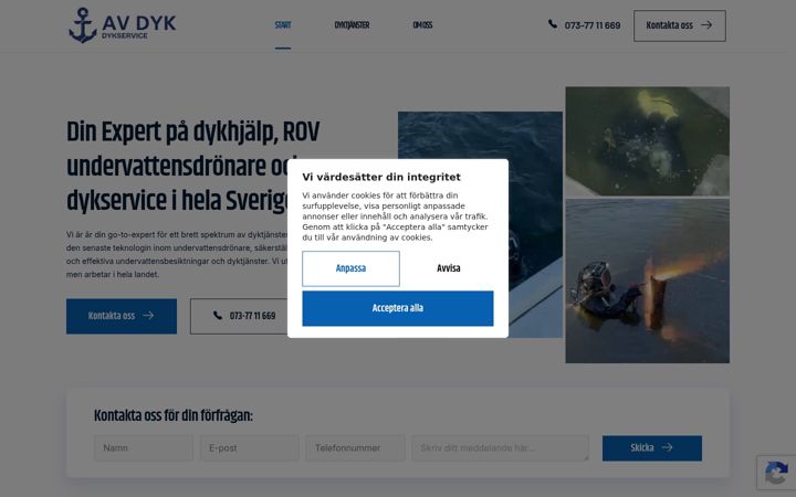 Screenshot of avdyk.com