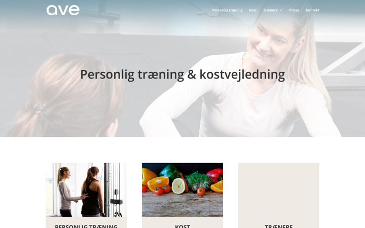 Screenshot of ave.dk