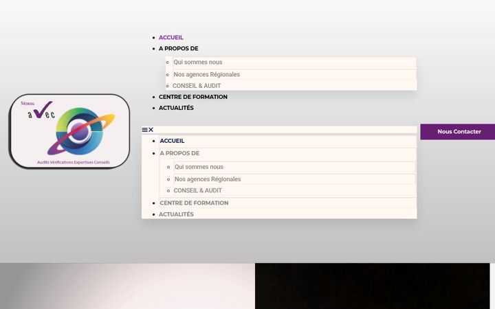 Screenshot of avec-expertise.com
