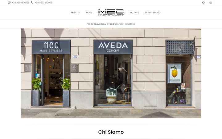 Screenshot of avedamecreggioemilia.com
