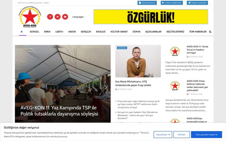 Screenshot of avegkon.com
