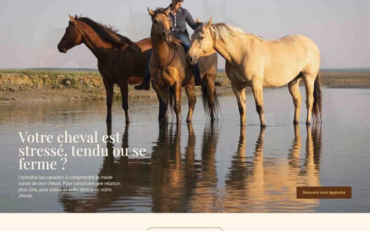 Screenshot of aventure-equestre.fr