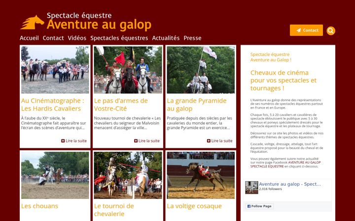 Screenshot ta' aventureaugalop.fr