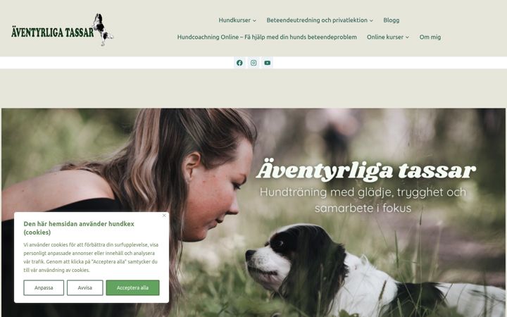 Screenshot stránky aventyrligatassar.se