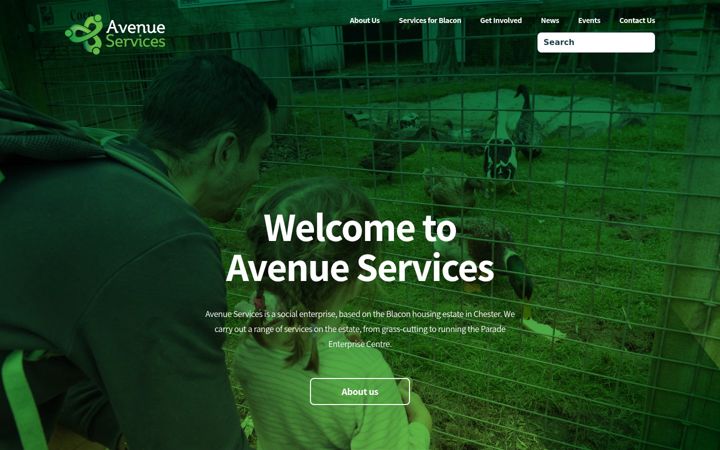 Screenshot of avenueservices.org