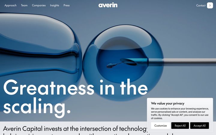 Screenshot of averincapital.com