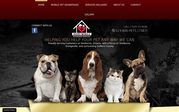 Screenshot of averymobileveterinaryservices.com
