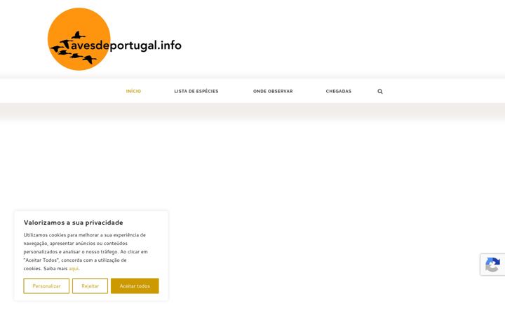 Screenshot of avesdeportugal.info