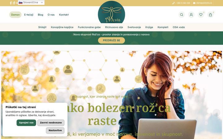 Skjámynd af avesta.si