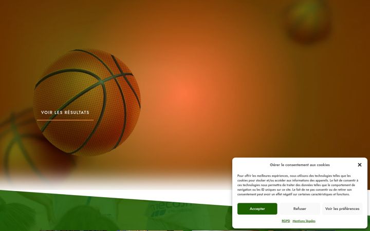 Screenshot of aveyronlozere-basketball.fr