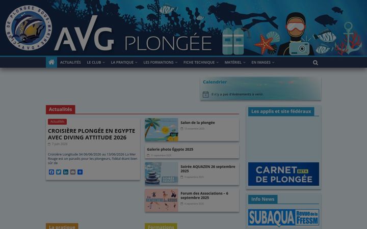 Snimka zaslona za avgplongee.fr