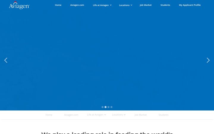 Screenshot of aviagencareers.com