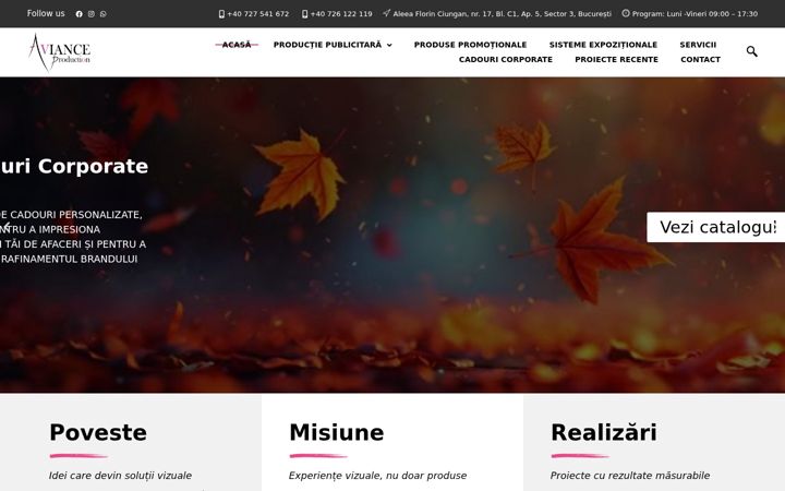 Ekrānuzņēmums no avianceproduction.ro