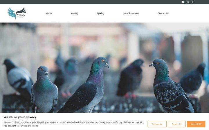 Screenshot of avianmanagement.co.uk