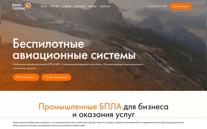 Skærmbillede af avianpp.ru