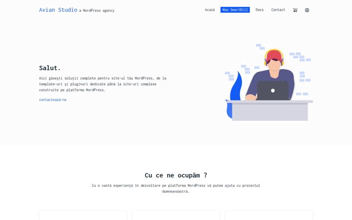 Screenshot of avianstudio.com