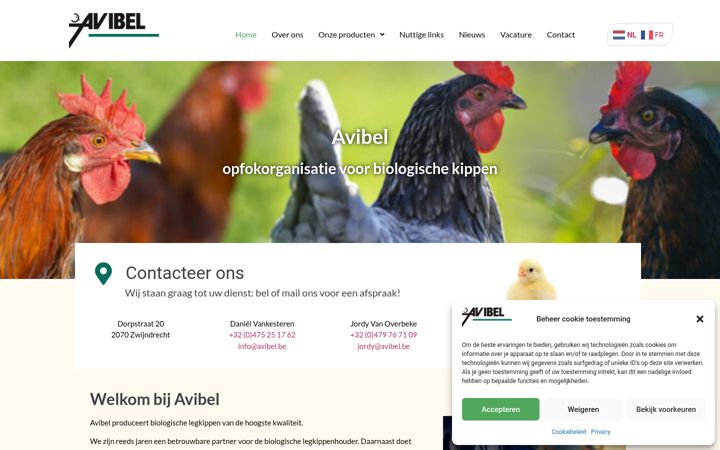 Screenshot of avibel.be