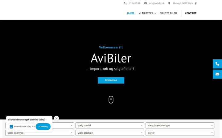 Screenshot of avibiler.dk