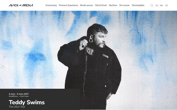 Screenshot of aviciiarena.se