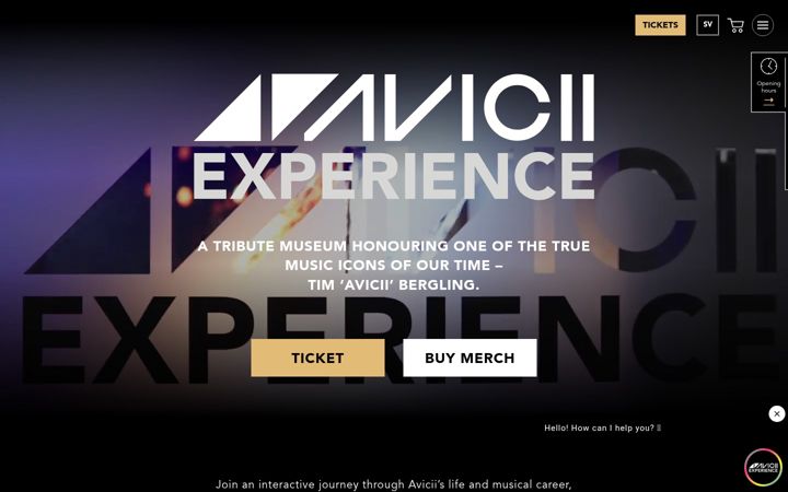 Screenshot of aviciiexperience.com