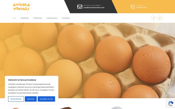 Screenshot of avicolavinyals.com