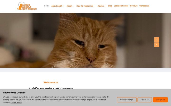 Ekrānuzņēmums no avidsangelscatrescue.co.uk
