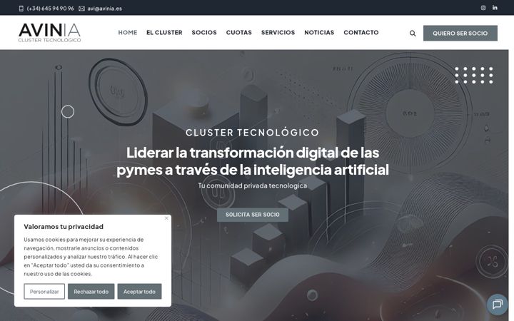 Screenshot of avinia.es