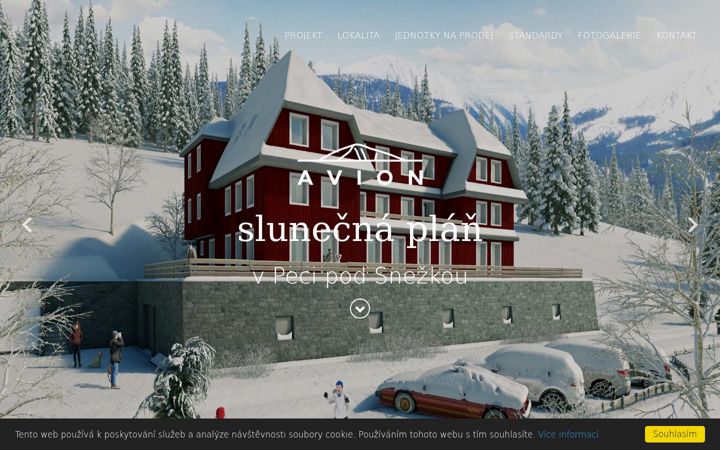 Screenshot of avion-pec.com