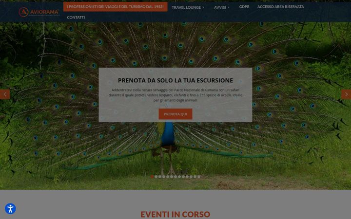 Screenshot of aviorama.com