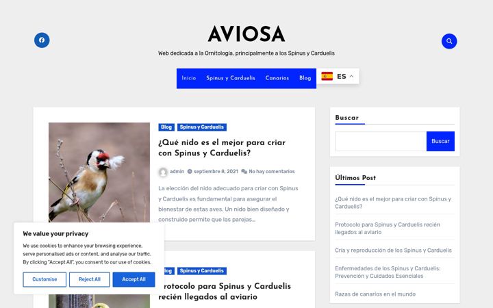 Screenshot of aviosa.es