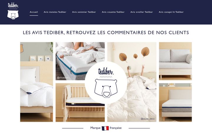 Screenshot of avis-tediber.com