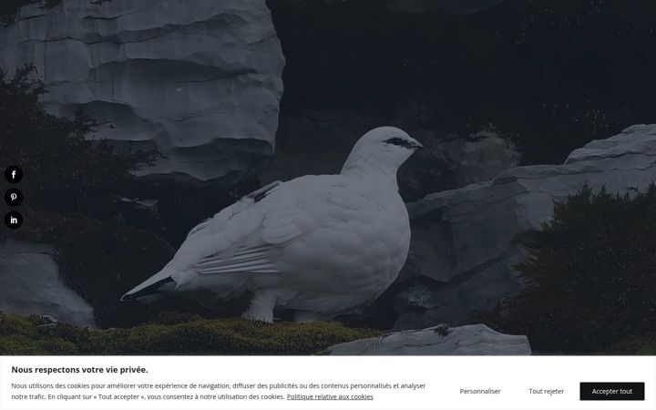 Skærmbillede af avis-vert.ch