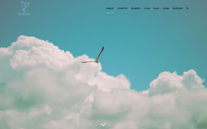 Screenshot of avisensa.com