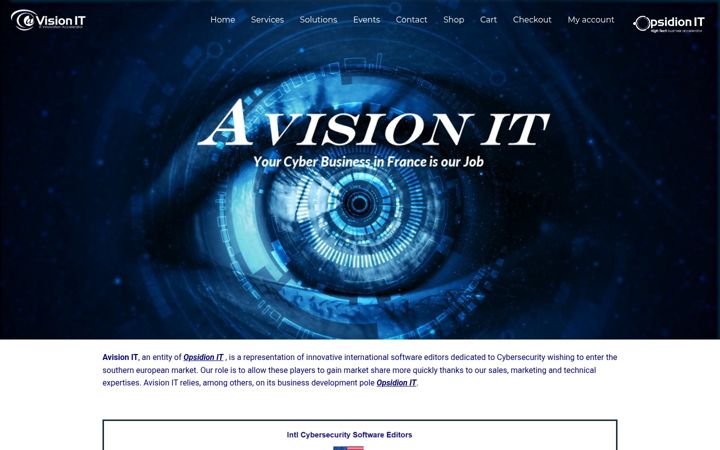 Screenshot of avisionit.com