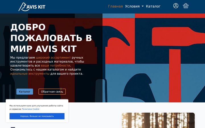 Screenshot of aviskit.ru