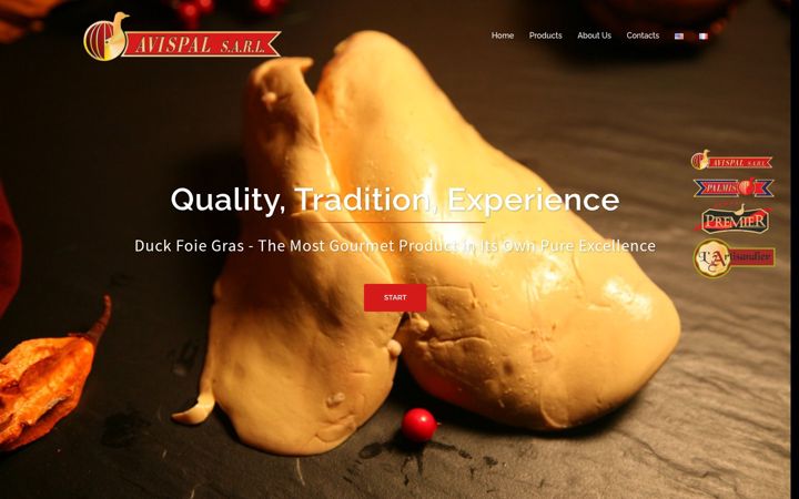 Screenshot of avispal.com
