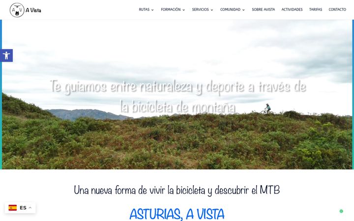 Screenshot of avistamtb.com