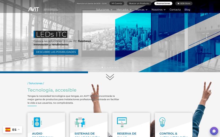 Screenshot of avitvision.es