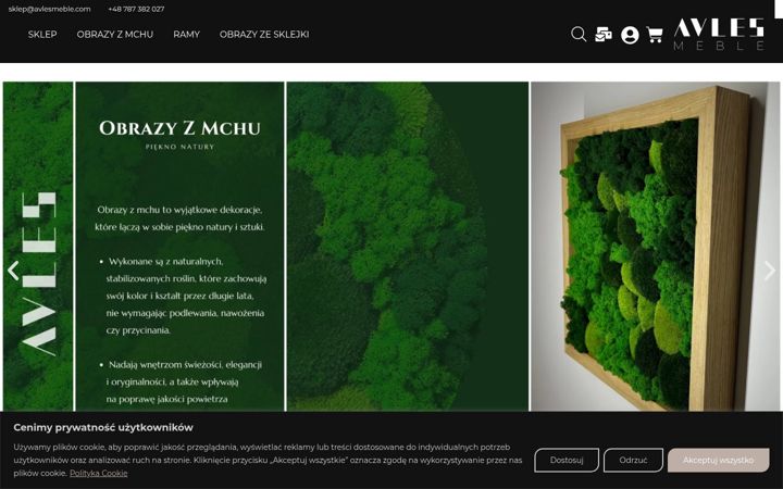 Screenshot of avlesmeble.com