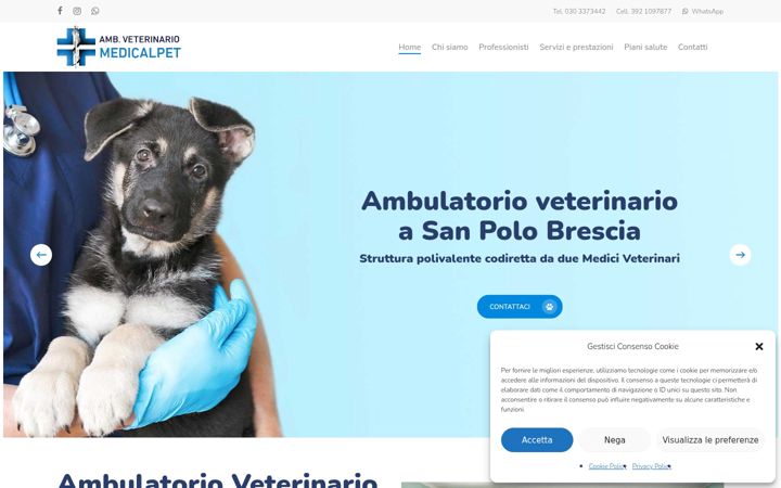 Screenshot of avmedicalpet.it
