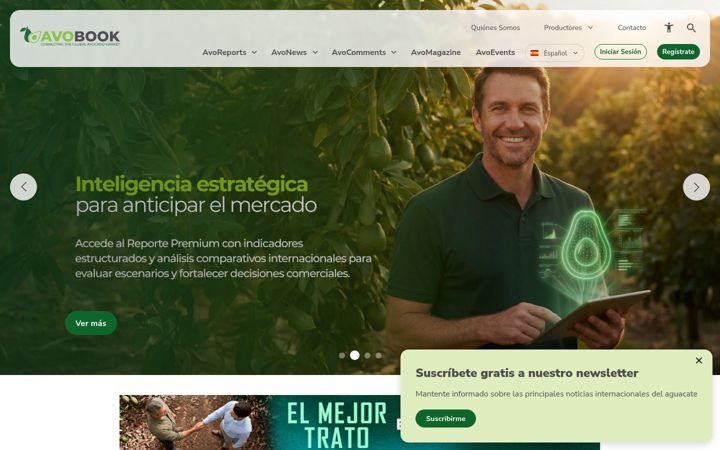 Screenshot of avobook.com