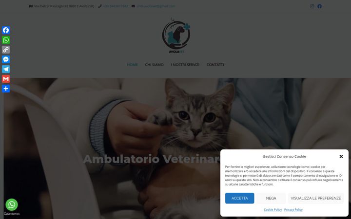 Screenshot of avolavet.it