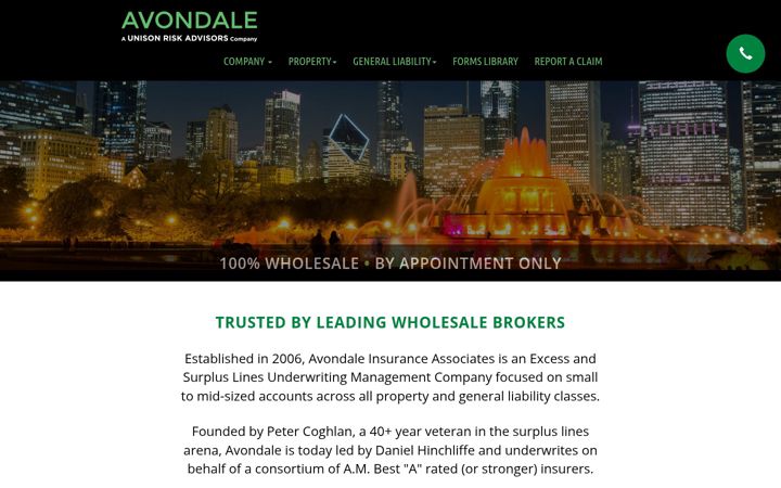 Screenshot of avondaleins.com
