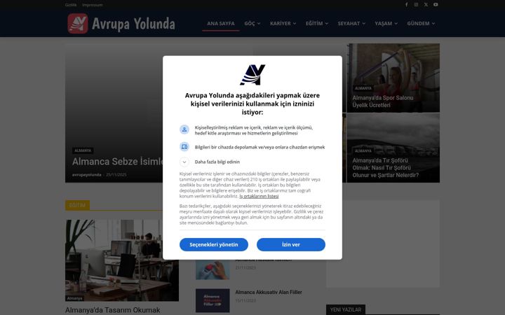Screenshot of avrupayolunda.com