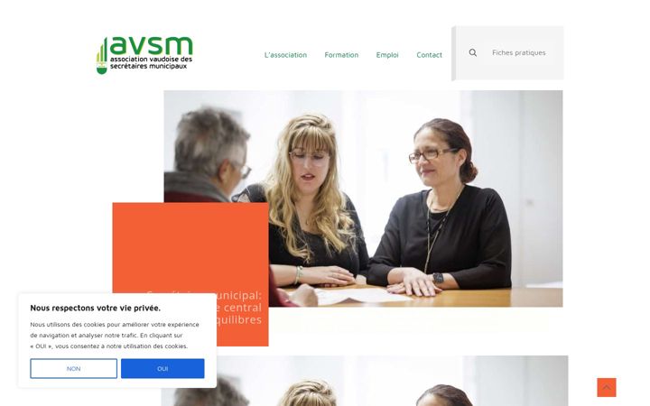 Screenshot of avsm.ch