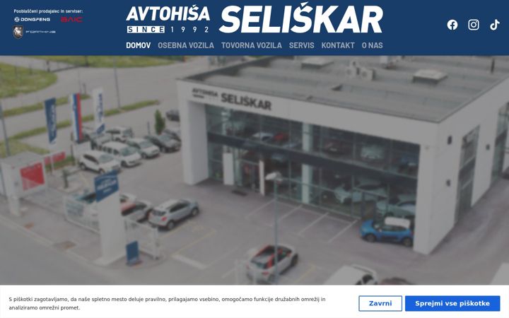 Snímek obrazovky avtohisa-seliskar.si