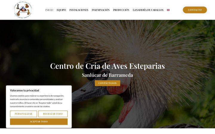 Screenshot of avutardas.com